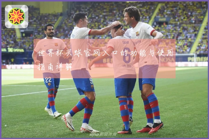 世界杯买球官网入口的功能与使用指南详解
