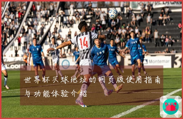 世界杯买球地址的网页版使用指南与功能体验介绍