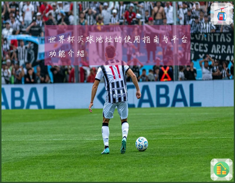 世界杯买球地址的使用指南与平台功能介绍
