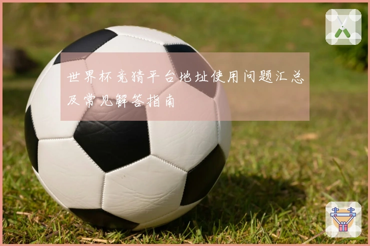 世界杯竞猜平台地址使用问题汇总及常见解答指南
