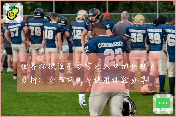 世界杯投注平台官方入口的优缺点分析：全面评测与使用体验分享