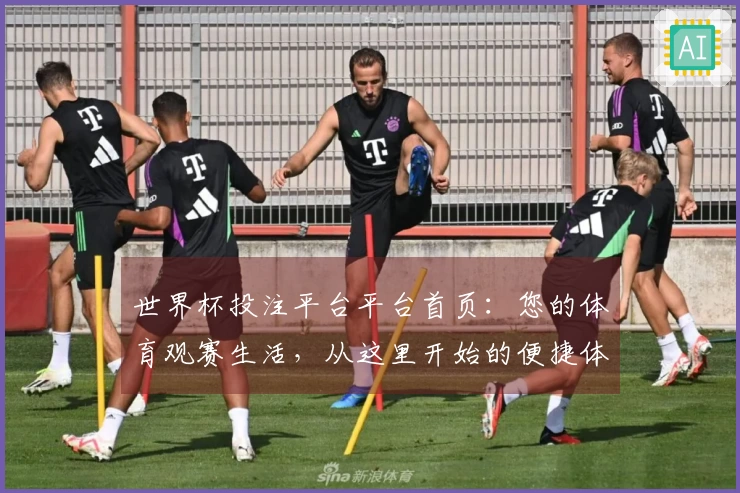 世界杯投注平台平台首页：您的体育观赛生活，从这里开始的便捷体验