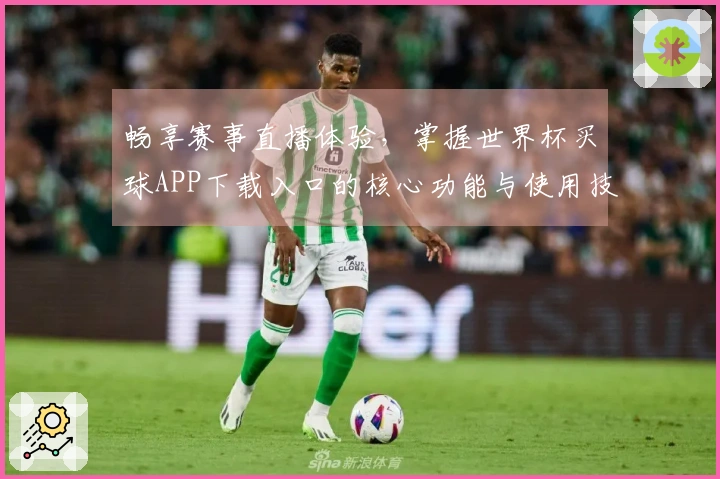 畅享赛事直播体验，掌握世界杯买球APP下载入口的核心功能与使用技巧