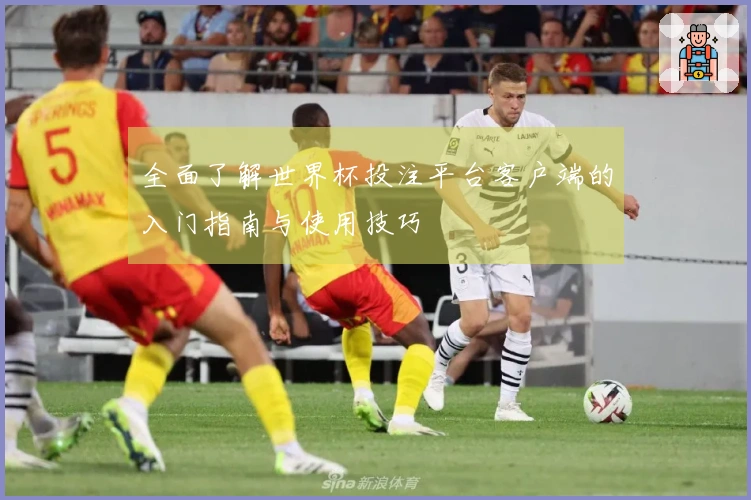 全面了解世界杯投注平台客户端的入门指南与使用技巧