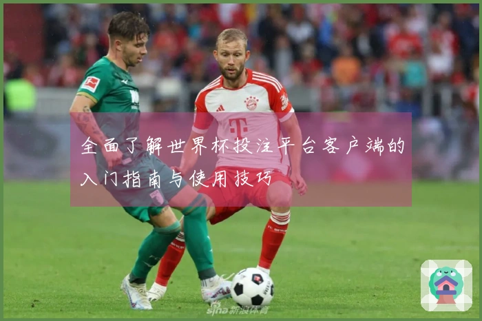 全面了解世界杯投注平台客户端的入门指南与使用技巧