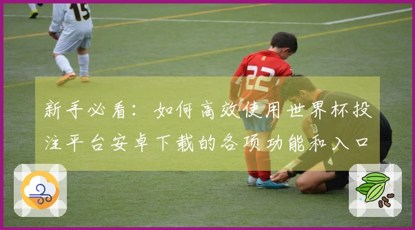 新手必看：如何高效使用世界杯投注平台安卓下载的各项功能和入口指引