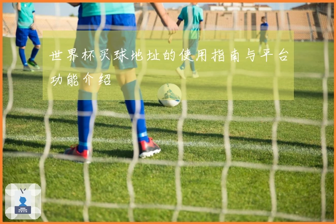世界杯买球地址的使用指南与平台功能介绍