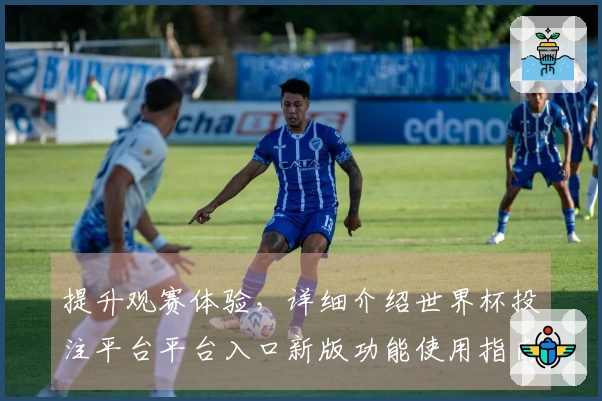提升观赛体验，详细介绍世界杯投注平台平台入口新版功能使用指南