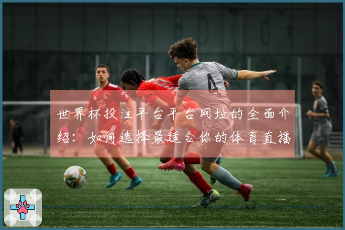 世界杯投注平台平台网址的全面介绍:如何选择最适合你的体育直播平台