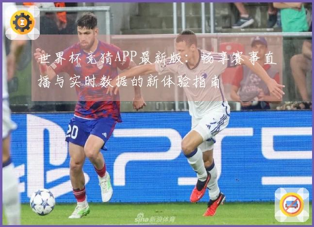 世界杯竞猜APP最新版：畅享赛事直播与实时数据的新体验指南