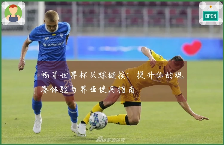 畅享世界杯买球链接：提升你的观赛体验与界面使用指南