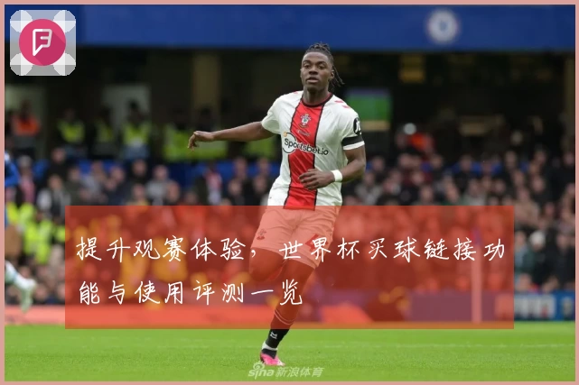 提升观赛体验，世界杯买球链接功能与使用评测一览