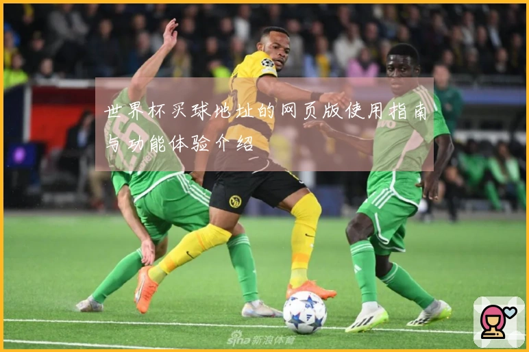 世界杯买球地址的网页版使用指南与功能体验介绍