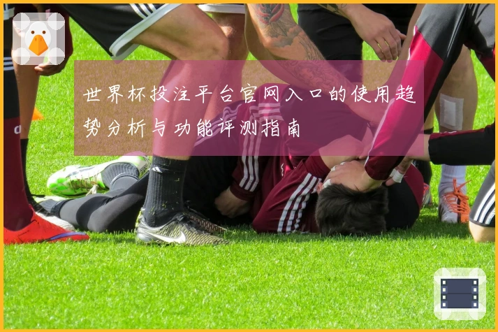 世界杯投注平台官网入口的使用趋势分析与功能评测指南