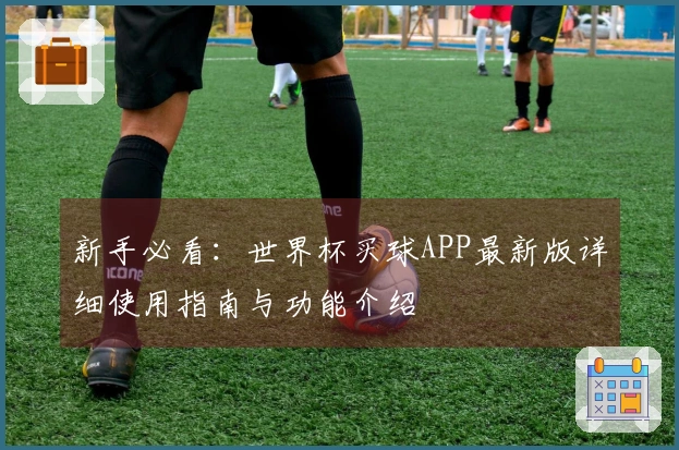 新手必看：世界杯买球APP最新版详细使用指南与功能介绍