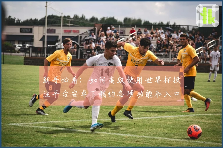 新手必看：如何高效使用世界杯投注平台安卓下载的各项功能和入口指引