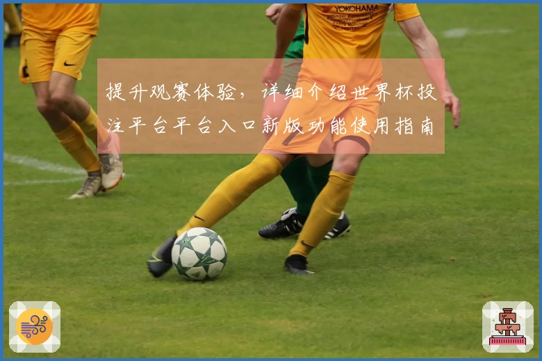 提升观赛体验，详细介绍世界杯投注平台平台入口新版功能使用指南